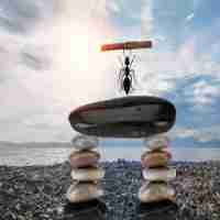 excel做​排‌名‌图‌